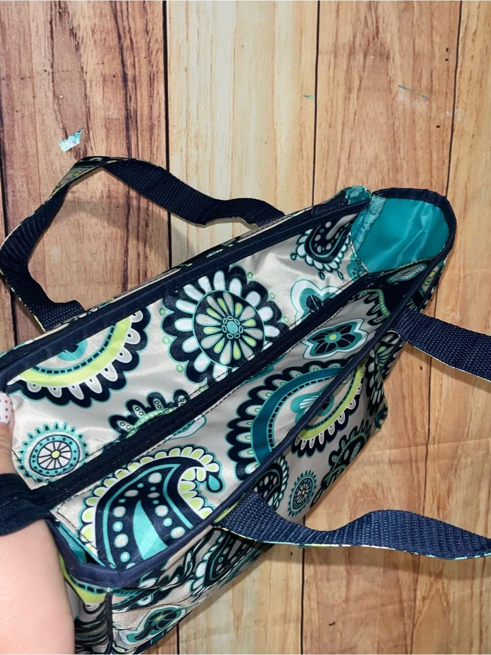 Thirty-One True Beauty Bag Paisley Day Like New Makeup Bag
